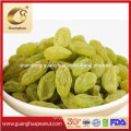 Sales Promotion New Crop Colorful Raisins